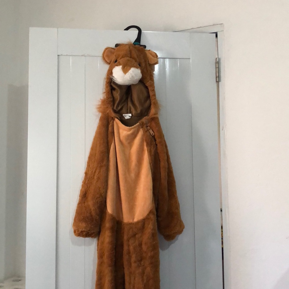 Lion costume for kids